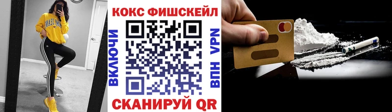 Cocaine Fish Scale  Купить закладки  Касимов 
