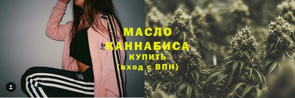 дмт Киреевск