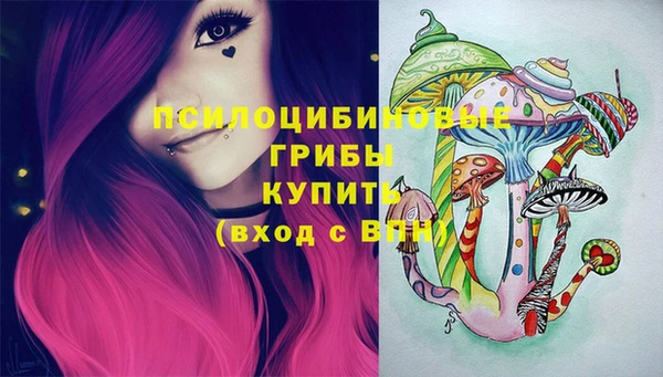 стафф Корсаков