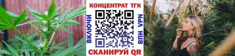 ТГК Wax  Купить закладки  Касимов 