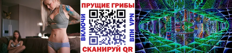 Купить закладки  Касимов  Галлюциногенные грибы GOLDEN TEACHER 